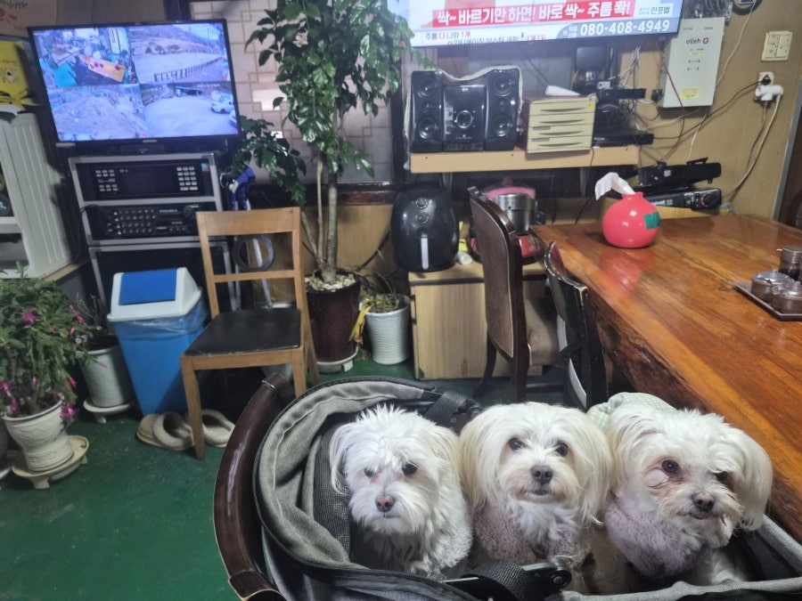 수산성 사진 3