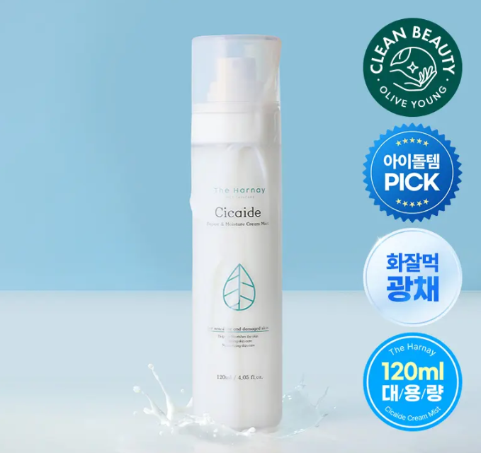 사진 8