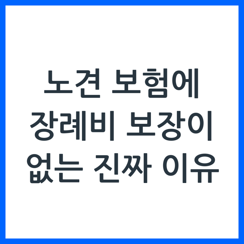 2026 노견 보험 추천 글에 장례 이야기가 없는 이유