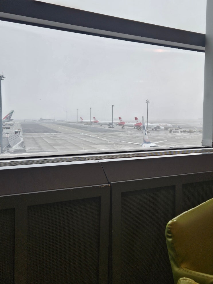  비엔나 공항 (Vienna) 끝장내기