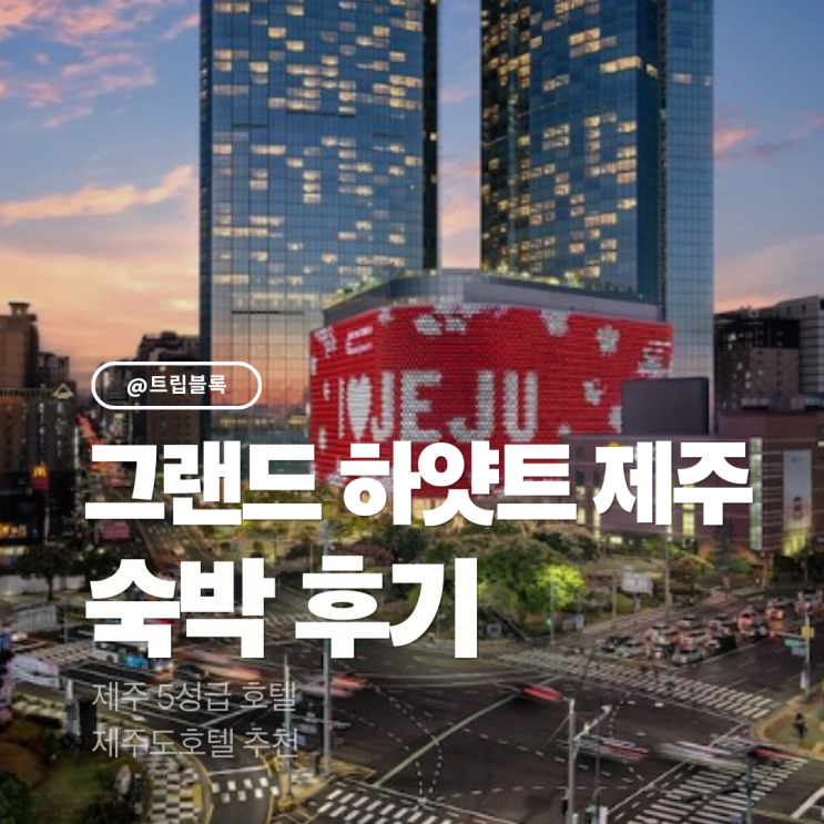  그랜드하얏트제주 룸서비스 수영장 킹룸 시티뷰 후기