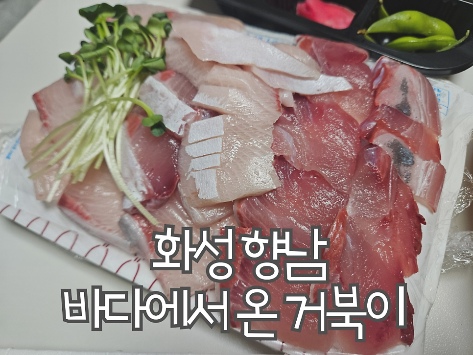 바다에서온거북이 사진 1