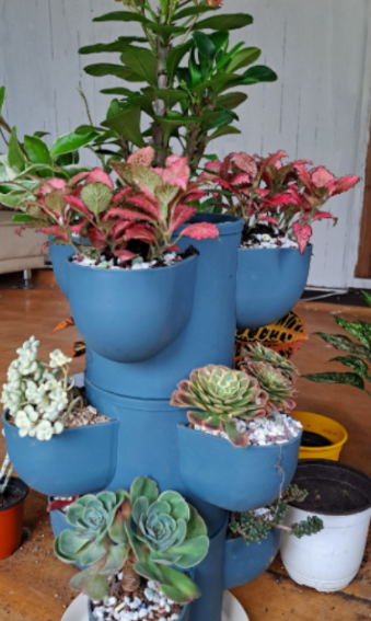 일상이 풍성하고 행복해지는 반려식물용품 전문 쇼핑몰 !