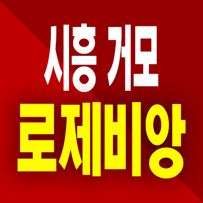  시흥 거모 로제비앙 미분양아파트 거모동 분양가상한제 분양가 공급