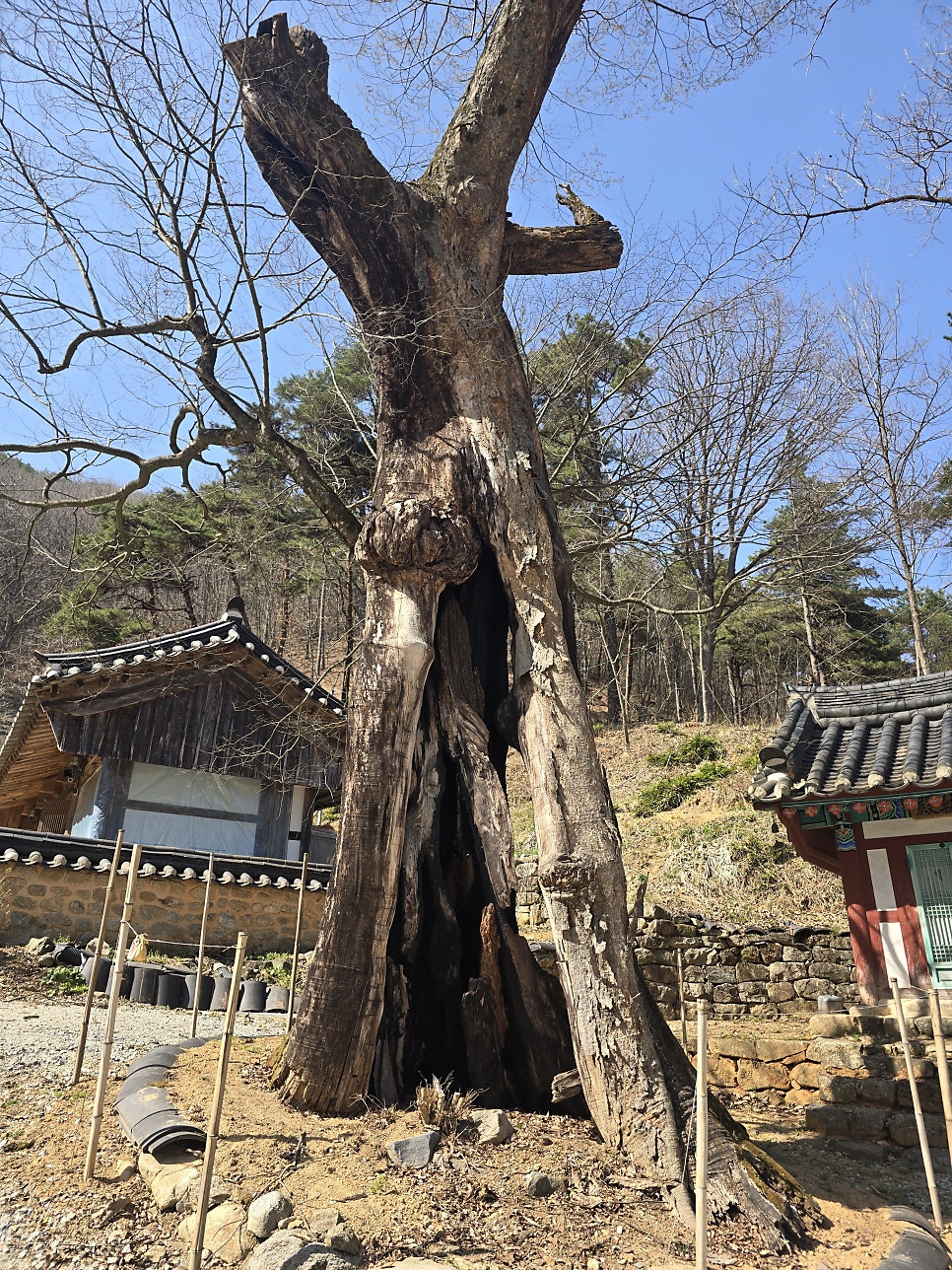 용요산 사진 2