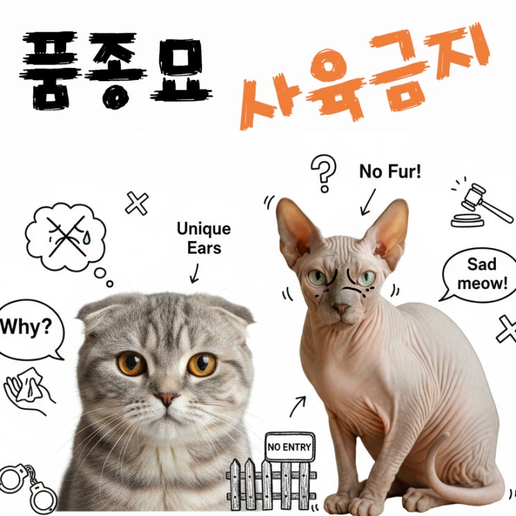  고양이종류에 따라 사육이 금지된 나라들 이게맞지