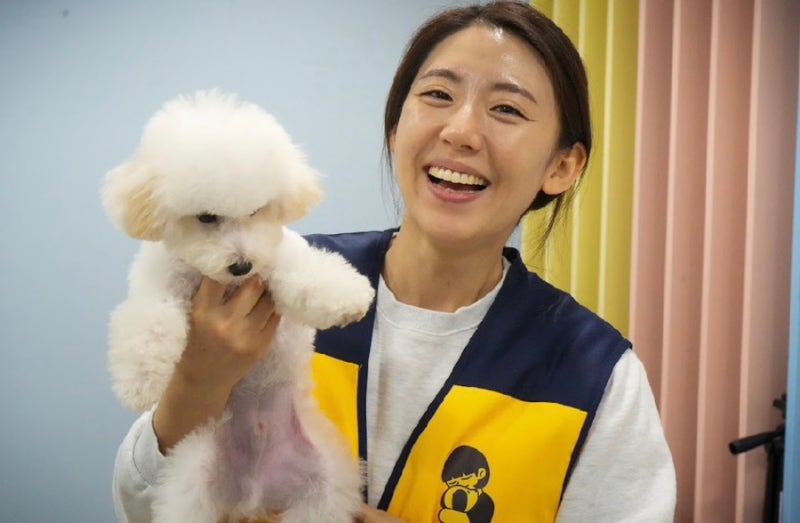 사진 5