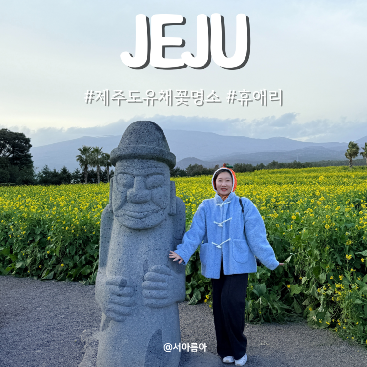  제주도 유채꽃 명소 서귀포 휴애리 동백꽃 한라산뷰 가능