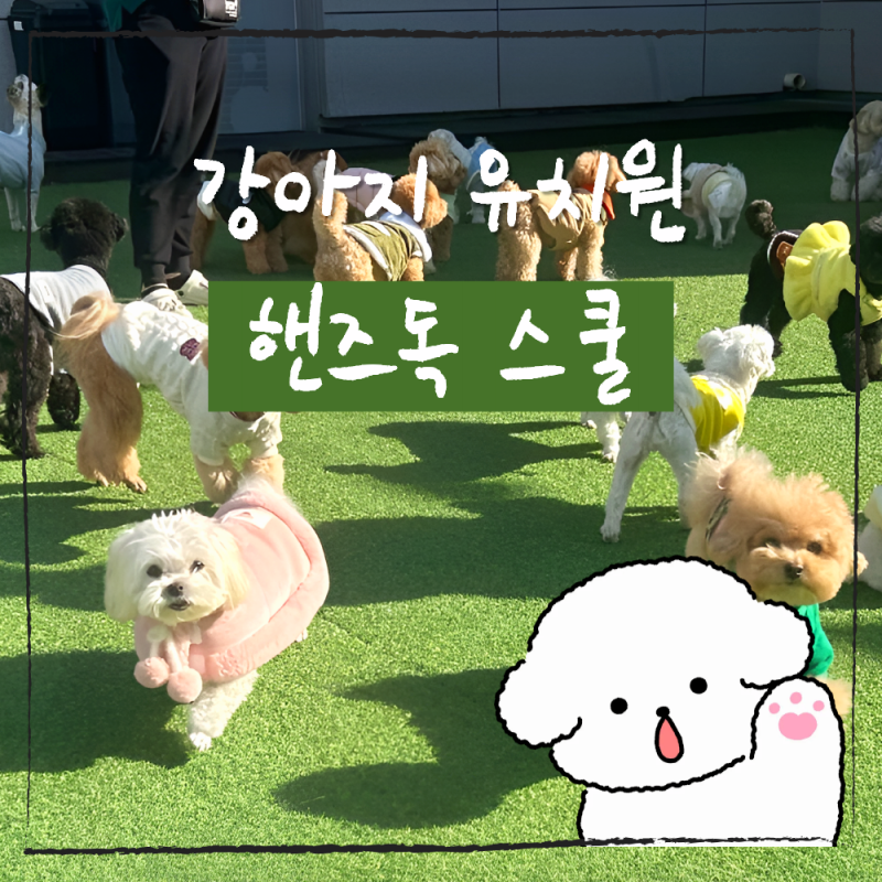 사진 7