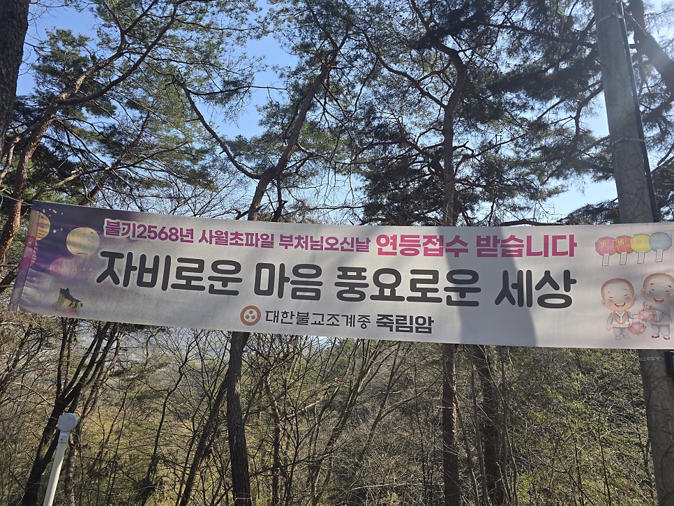 용요산 사진 1