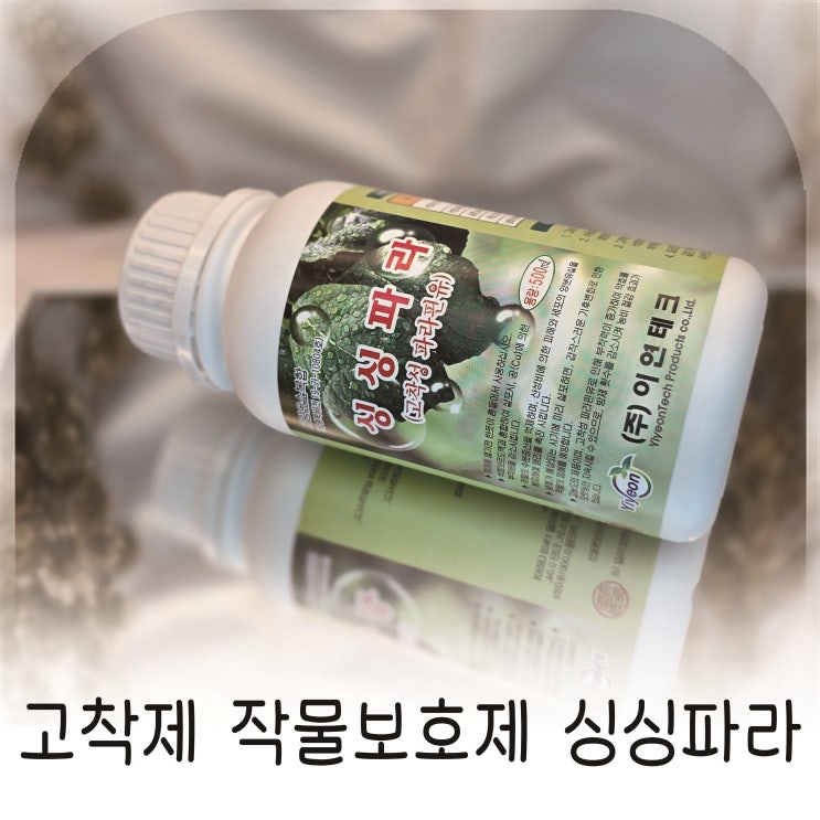  식물영양제 효과 높여준 고착제, 잎 마름 줄여준 작물보호제 싱싱파라