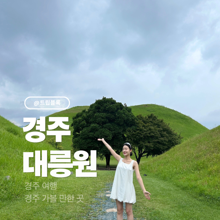  대릉원 몽화 미디어아트 주차 입장료 경주 가볼만한곳