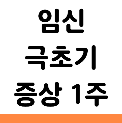  임신 극초기증상 1주 산부인과 가야 할 신호 정리