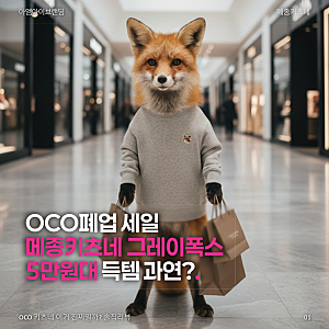 메종키츠네 그레이폭스 원뚝 맨투맨 남여공용 사이즈 및 후기리뷰