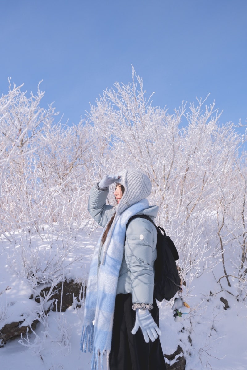 [국내여행] 곤도라로 만나는 겨울왕국❄️❄️덕유산 곤도라 예약 꿀팁과 실시간 상고대 눈....