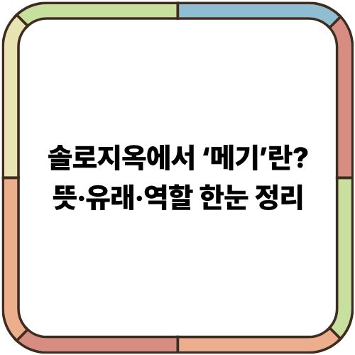 솔로지옥에서 ‘메기’란?｜뜻·유래·역할 한눈 정리