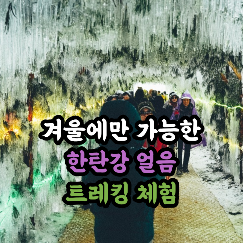2026 겨울축제 추천, 철원 한탄강 얼음트레킹축제 완벽 가이드