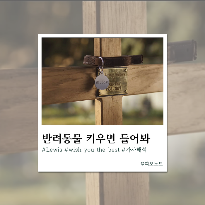  반려동물 키우는 사람이 들으면 오열할 그 노래 | Lewis Capaldi - Wish You The Best 가사해석