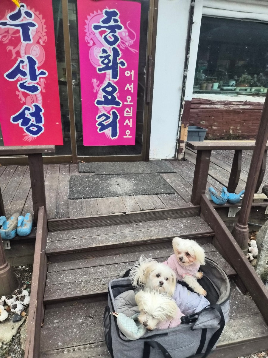 수산성 사진 1