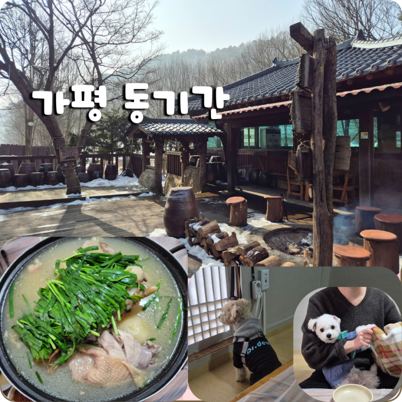 가평 애견동반 식당 동기간 닭백숙 맛집 추천