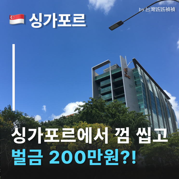  싱가폴에서 껌 씹고 200만원 벌금?! 싱가포르껌 벌금 싱가포르껌 반입