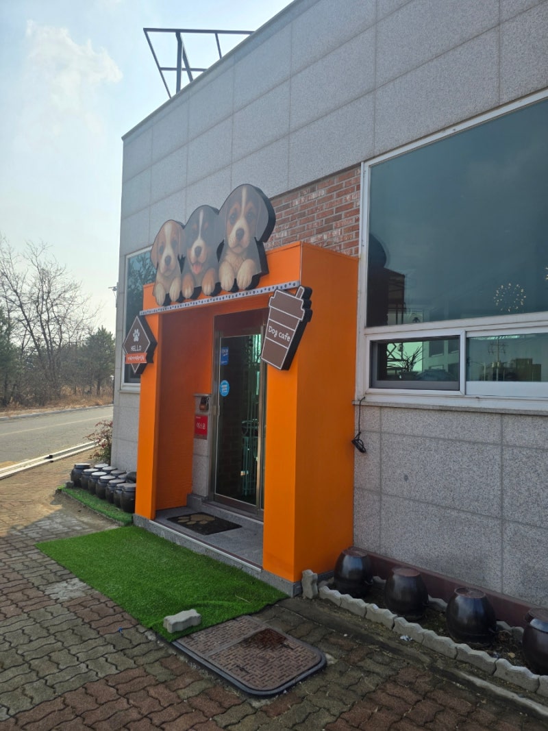 사진 5