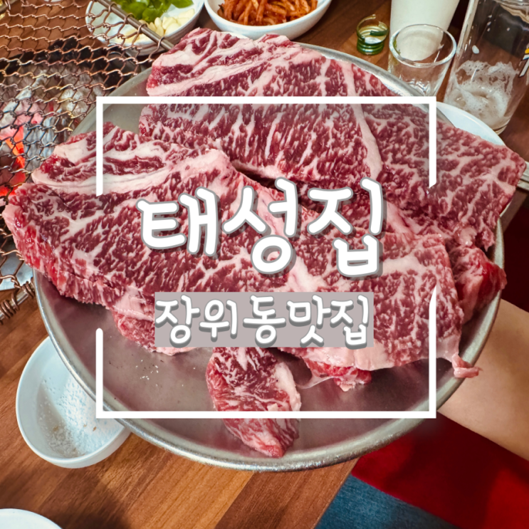 성북구 장위동 돌곶이역 회식 맛집 태성집: 50년 전통 인생 한우 등심, 우설수육 내돈내산 후기(메뉴/주차)