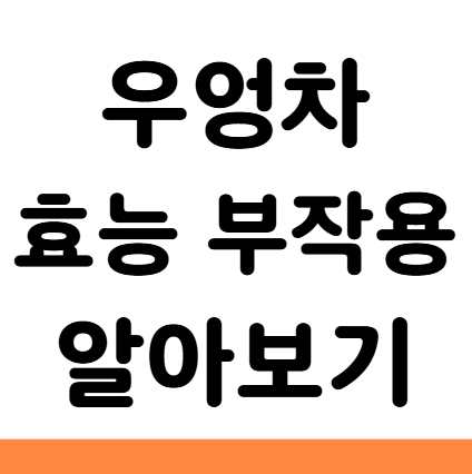  우엉차 효능 부작용 카페인 효과