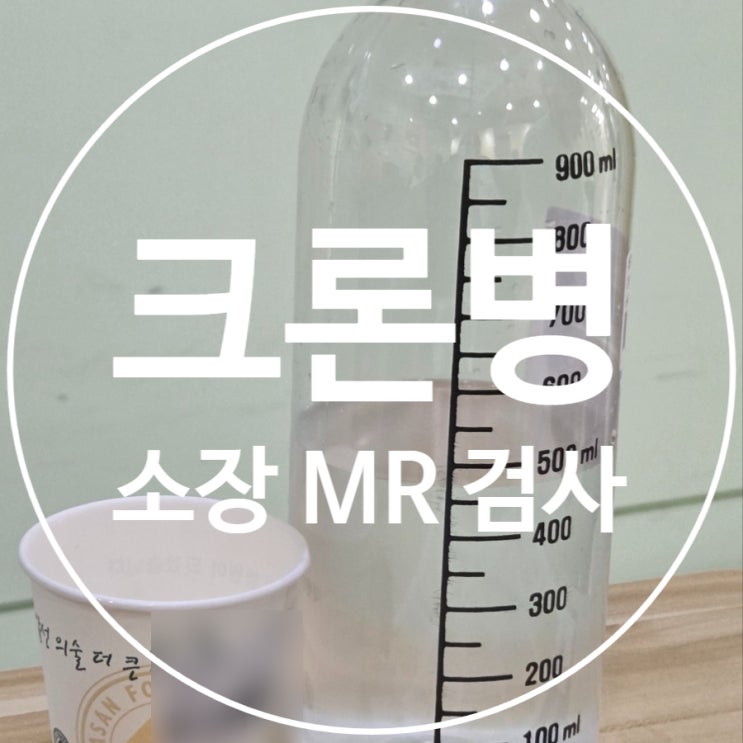  [크론병] #18 세번째 소장 mri 검사