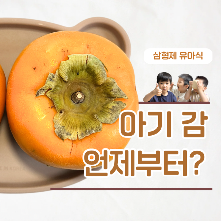  아기 감 언제부터? 시기부터 먹이는 방법까지 총정리