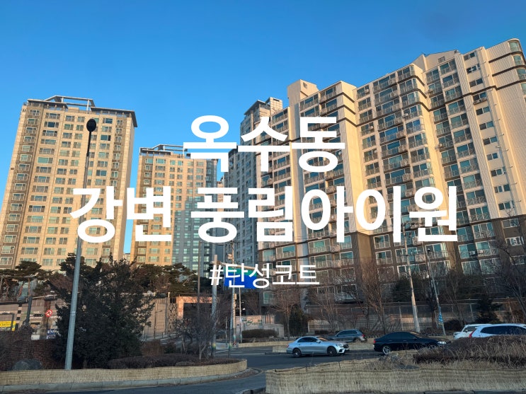  성동구 옥수동 강변 풍림아이원 아파트 탄성코트 시공(달빛탄성)