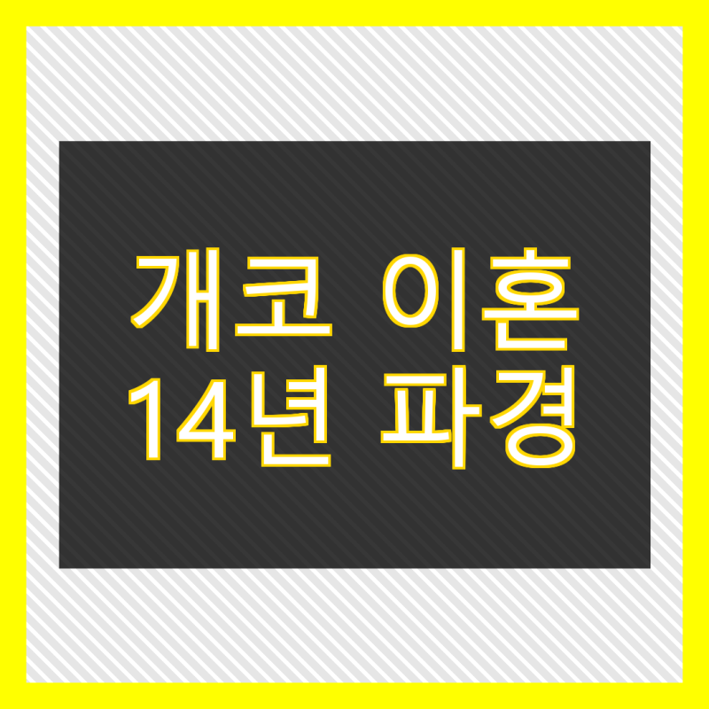 다이나믹듀오 개코 김수미 이혼 공식 발표 14년 파경 이유와 공동양육 전말