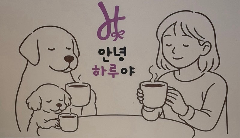 사진 4
