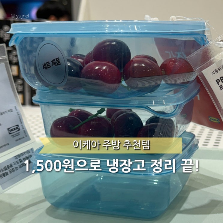  ‘다이소 긴장해야겠는걸..?’ 이케아 냉장고 정리 이 추천템이면 끝나요