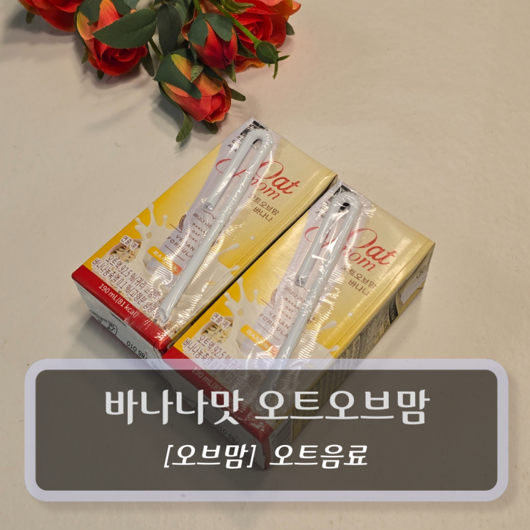  오브맘 :: 바나나맛 오트오브맘 후기