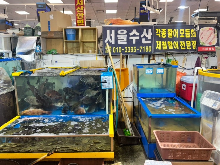  [서울/노량진] #노량진횟집 서울수산 방문 후기