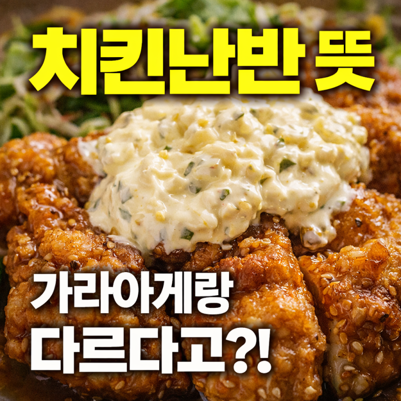 치킨난반 뜻, 정확히 뭐예요?