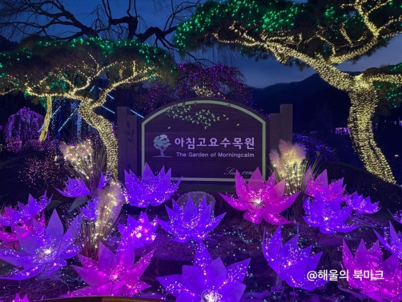 가평 데이트 주말 나들이 추천 코스, 아침 고요수목원 야간개장 후기