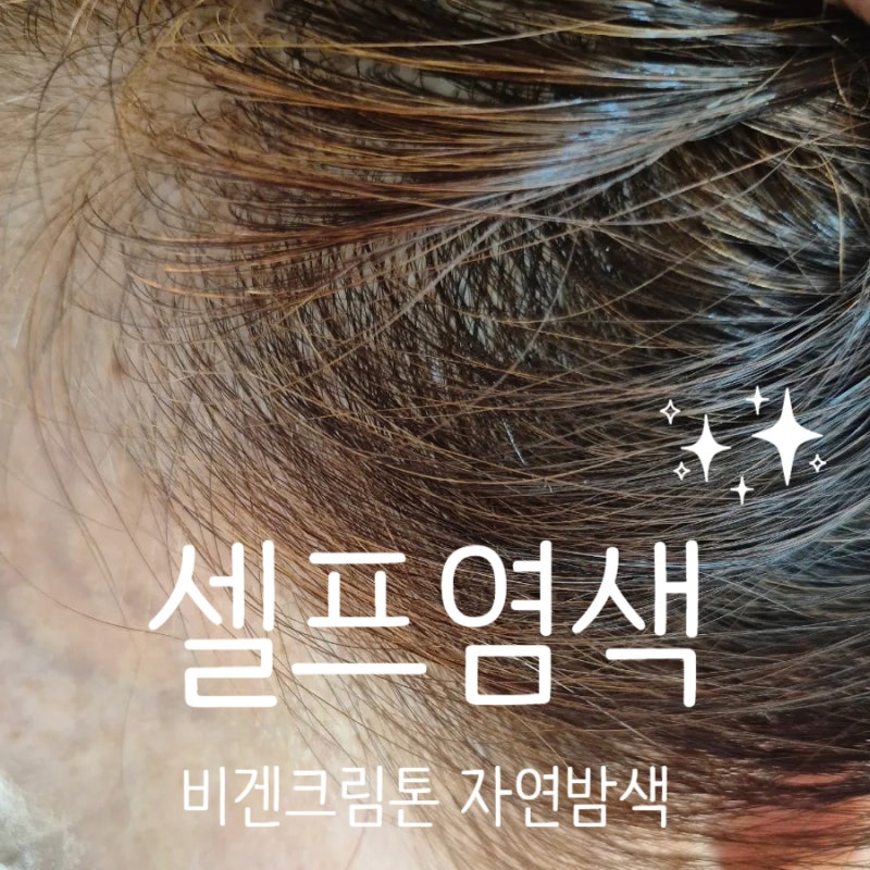 10분컷 집에서 설프 염색 방법 - 비겐크림톤 추천 ( 자연밤색 염색약 갈색 후기)