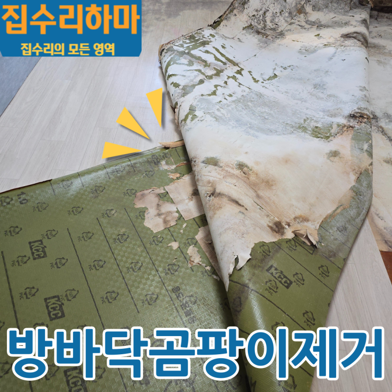 장판밑곰팡이제거완벽 장판마감