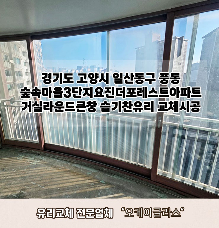  경기도 고양시일산동구 풍동 숲속마을3단지요진더포레스트아파트 거실라운드큰창 습기찬유리교체 "오케이글라스" 시공