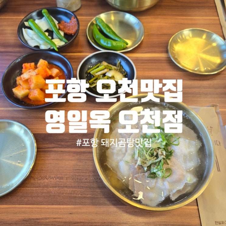  [또간집] 포항 오천 돼지곰탕 맛집 『 영일옥 오천점 』 육전, 특돼지곰탕 솔직후기