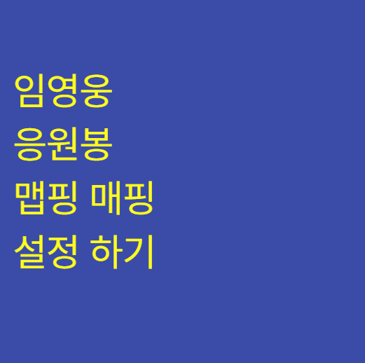 임영웅 응원봉 맵핑 매핑 설정 하기