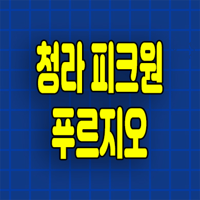  청라 피크원 푸르지오 오피스텔 인천 청라동 3룸 아파텔 잔여세대