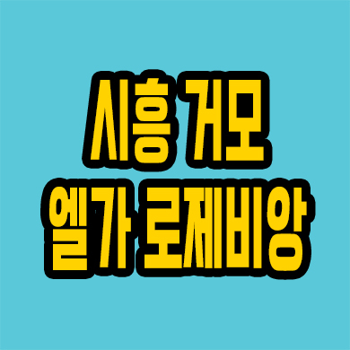  시흥 엘가 로제비앙 미분양아파트 거모동 분양가상한제 신축 공급