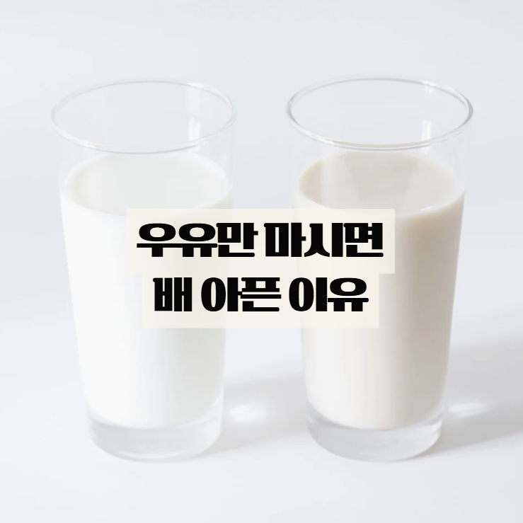  우유 마시면 배아픈 이유, 유당불내증 신호일 수 있어요
