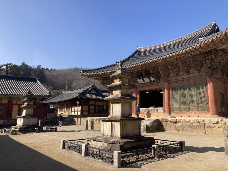  유네스코 "산사, 한국의 산지승원".. 보물로 가득한 정원같은 순천 “선암사”