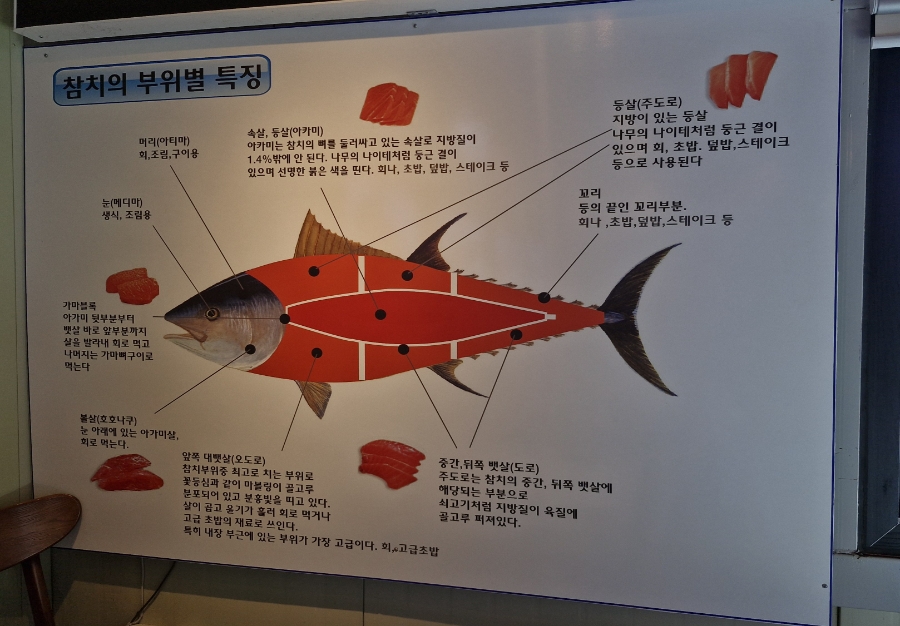 다오라참치초밥 물왕점 사진 5