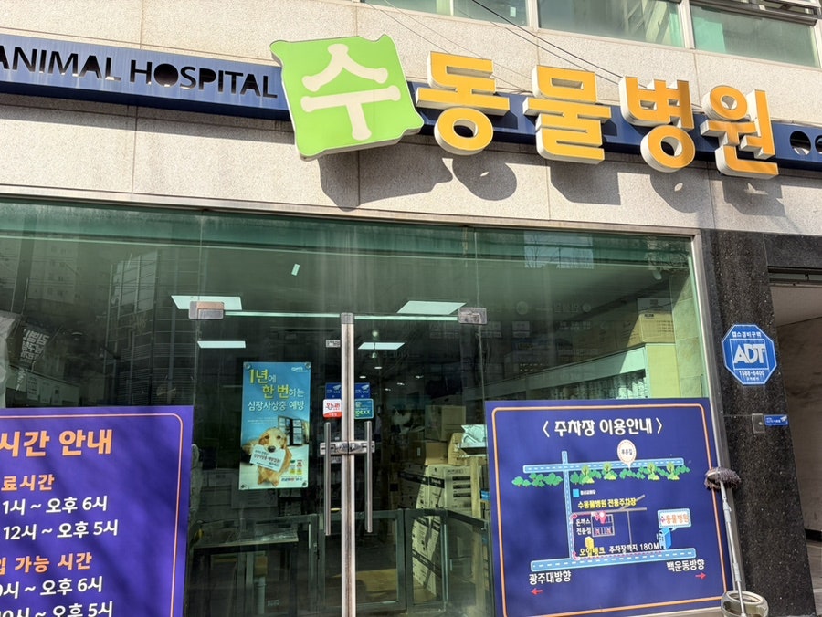 수동물병원 사진 1