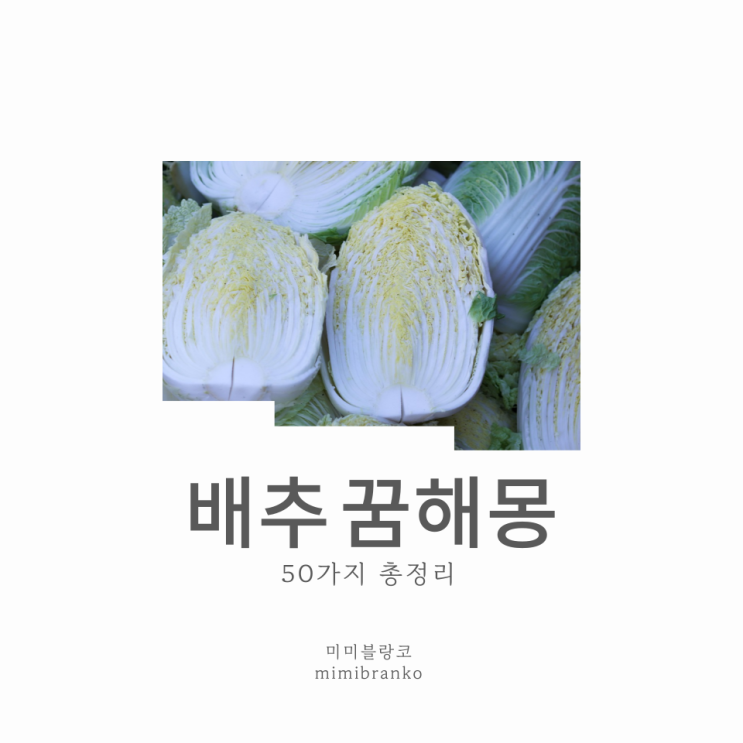  배추 꿈해몽